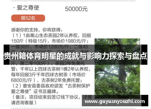 贵州籍体育明星的成就与影响力探索与盘点