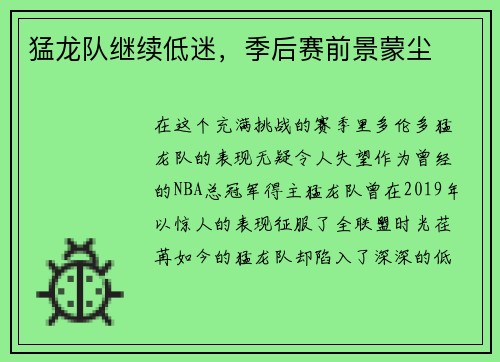 猛龙队继续低迷，季后赛前景蒙尘